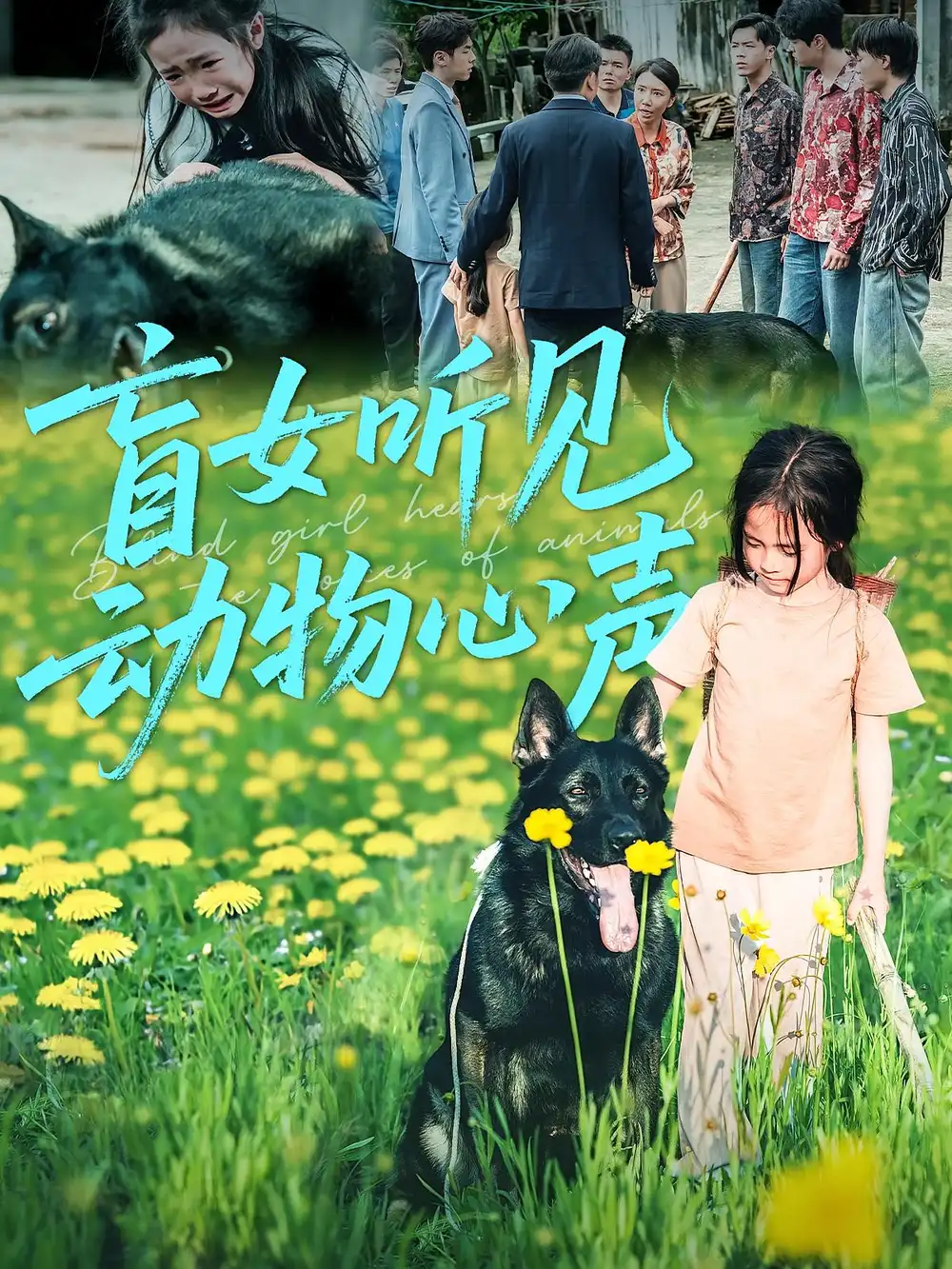短剧《盲女听见动物心声》高清完整版全集免费在线观看