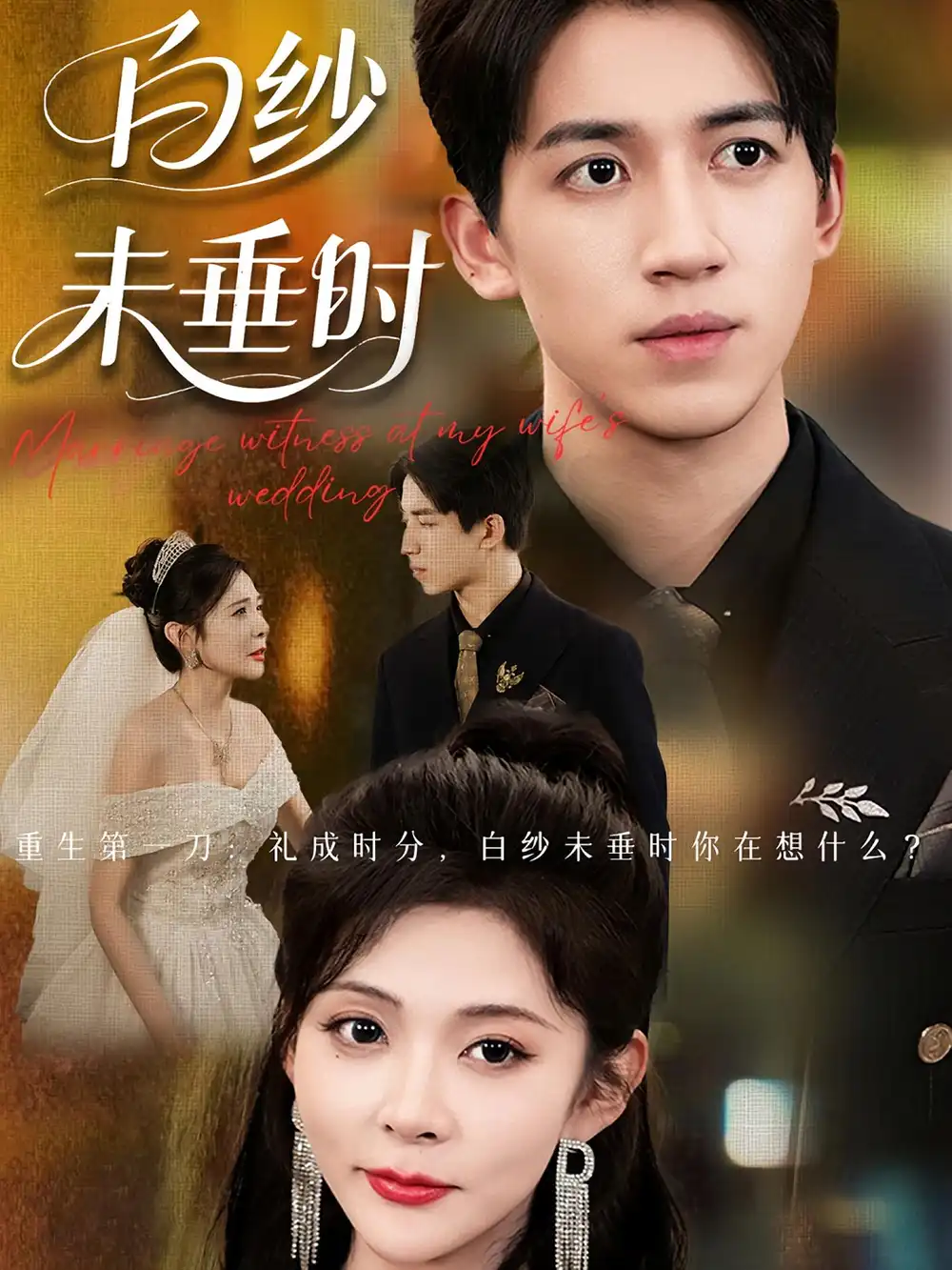短剧《老婆婚礼我当证婚人&白纱未垂时》高清完整版全集免费在线观看