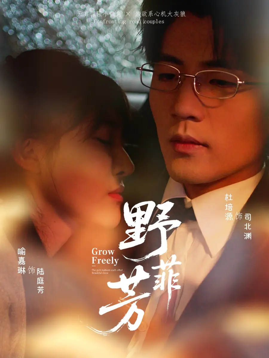 短剧《野芳菲》高清完整版全集免费在线观看