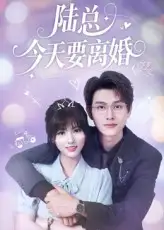 短剧《陆总今天要离婚》高清完整版全集免费在线观看