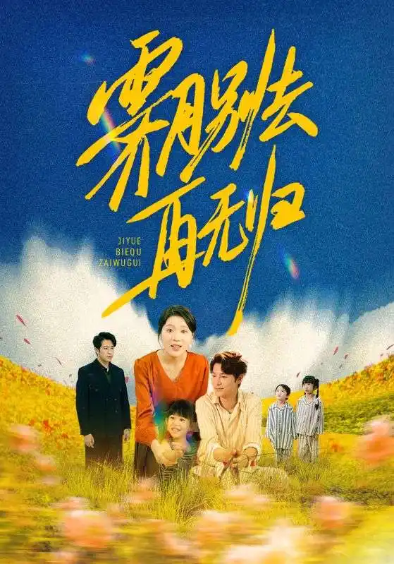 霁月别去再无归（65集）海报