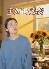 主妇的逆袭（28集）海报