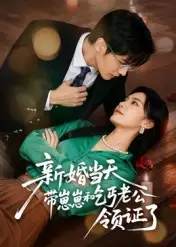 新婚当天带崽崽和乞丐老公领证了（60集）朱予彤海报