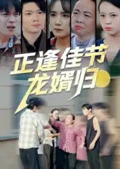短剧《正逢佳节龙婿归》全集完整版高清免费在线观看