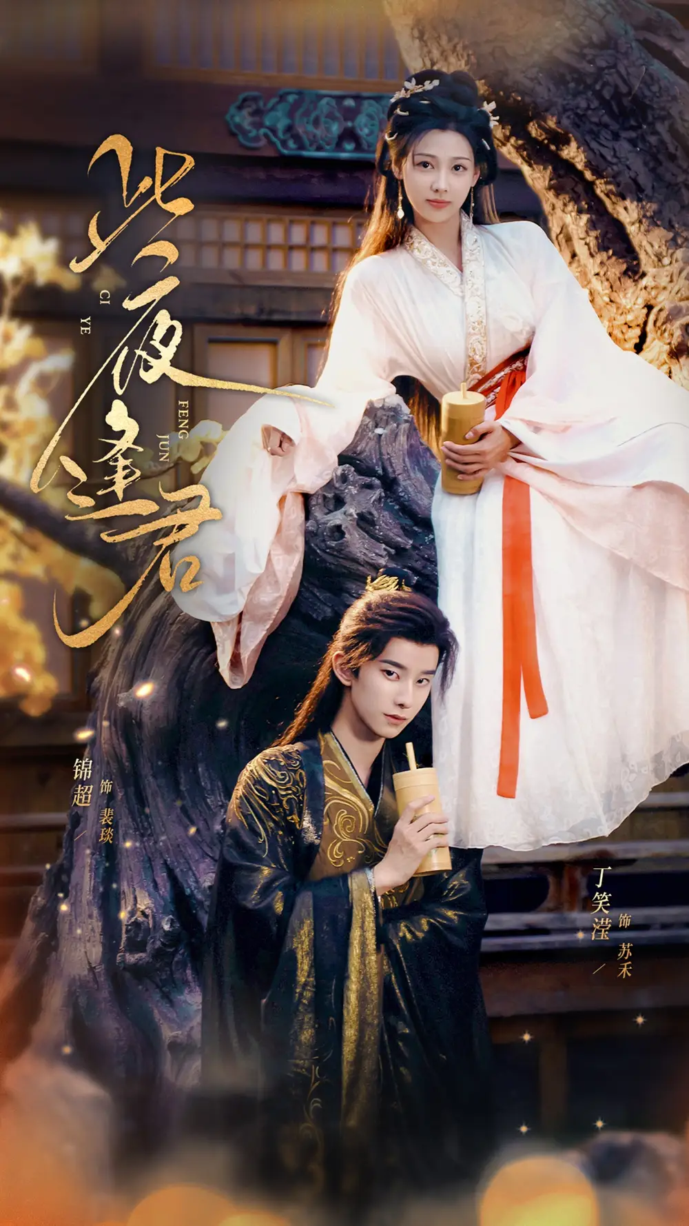 短剧《此夜逢君》高清完整版全集免费在线观看