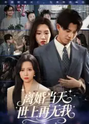 短剧《离婚当天世上再无我》全集完整版高清免费在线观看