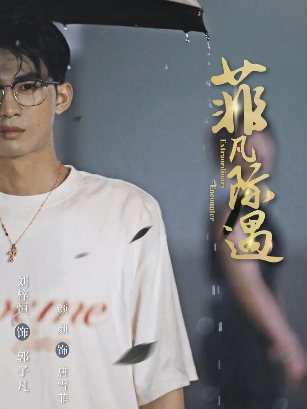 短剧《菲凡际遇》高清完整版全集免费在线观看