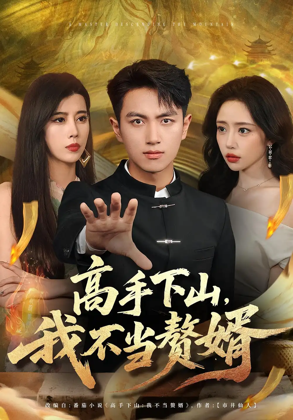 短剧《高手下山我不当赘婿》全集完整版高清免费在线观看