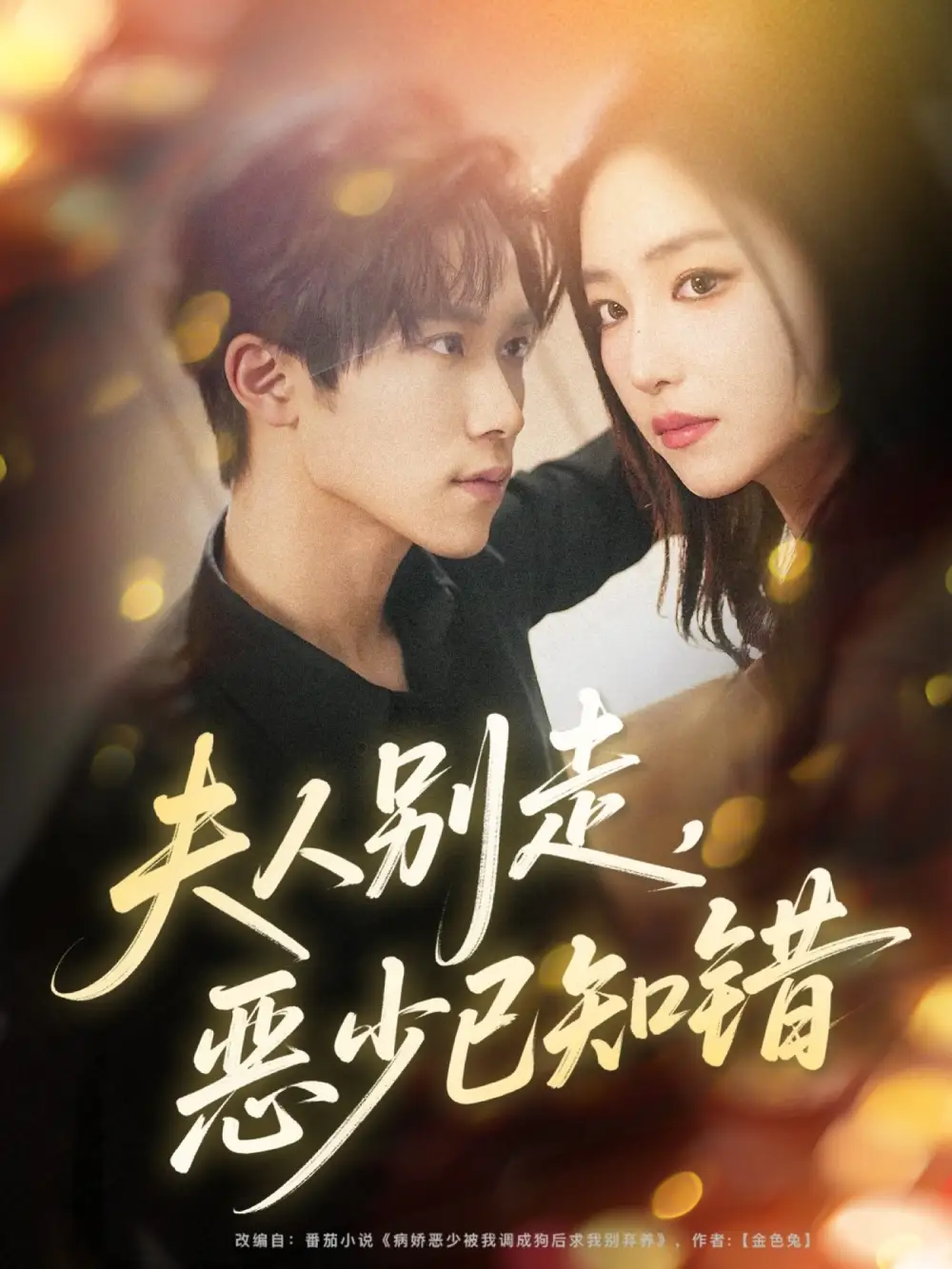 短剧《夫人别走，恶少已知错》全集完整版高清免费在线观看