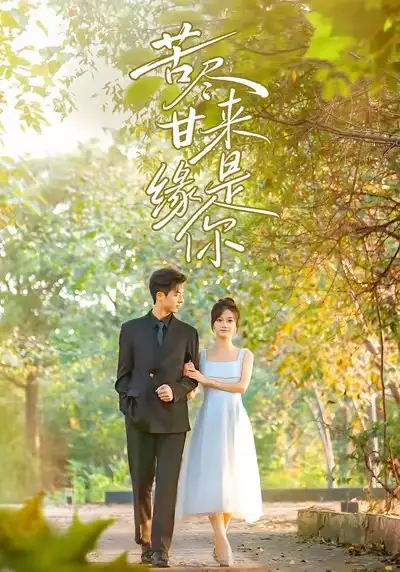 苦尽甘来缘是你(45集)刘晓宇&杜昱泽高清海报图片 苦尽甘来缘是你(45集)刘晓宇&杜昱泽海报