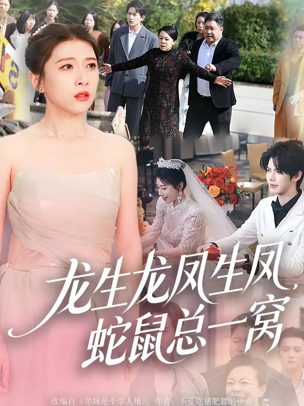 短剧《龙生龙凤生凤，蛇鼠总一窝》全集完整版高清免费在线观看